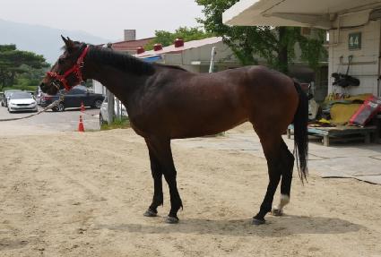 ť�� ����