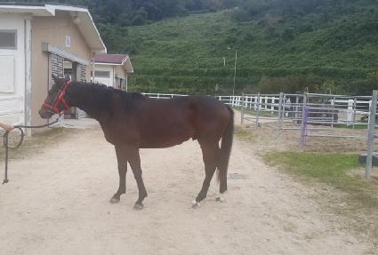 �̿� ����