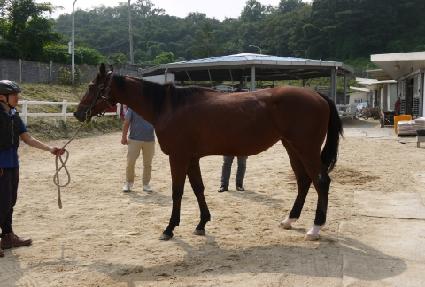 ��ȣ���彺Ÿ ����