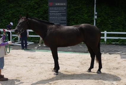 �¸��ô� ����