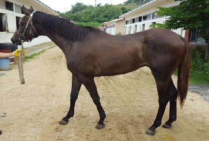 �������� ����