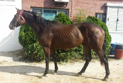 ��ö�� ����