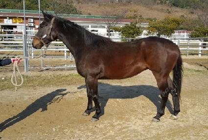 ������������ ����