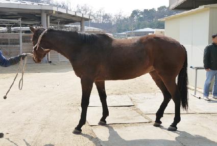 �׸�Ƽ ����