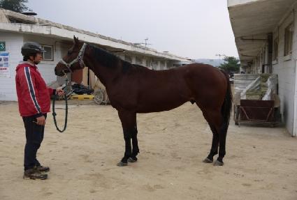 ���̴���ġ�� ����