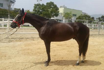 ����Ǯ���丮 ����