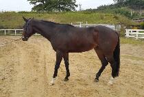 ���̾�Ʈ���� (QUIET TEMPLE) ����