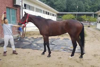 �ؿ�뿩�� ����