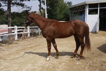 ���������� ����