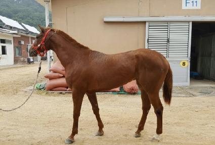 ��Ÿ��Ʈ ����