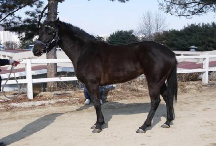 ������� ����