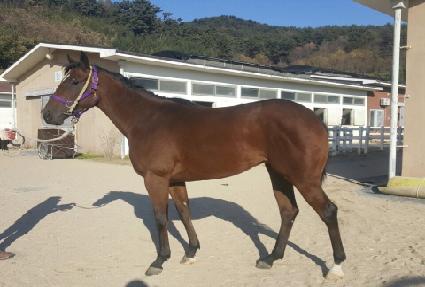 ���̴� ����