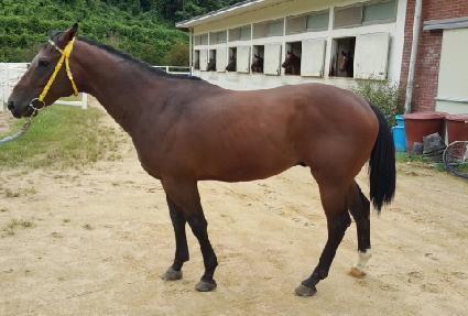 �ҵ��� ����