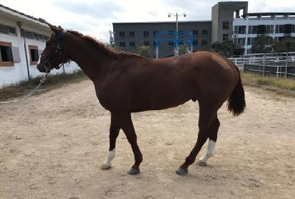 �������� ����