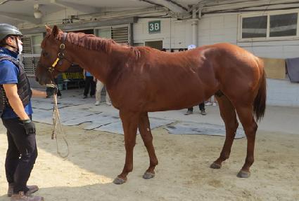 �����ʽ� ����