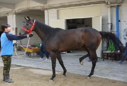 ť�ǵ���� ����