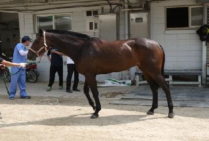 �÷����� ����