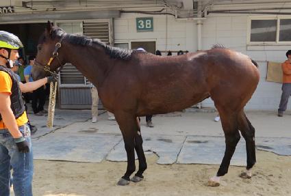 �������� ����