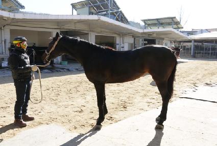 ��ٶ� ����