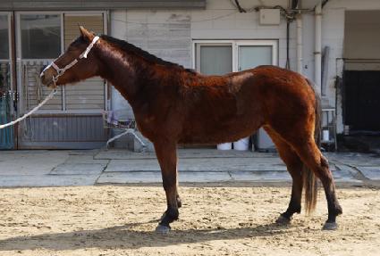 õ���� ����