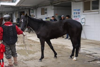 �޴��� ����