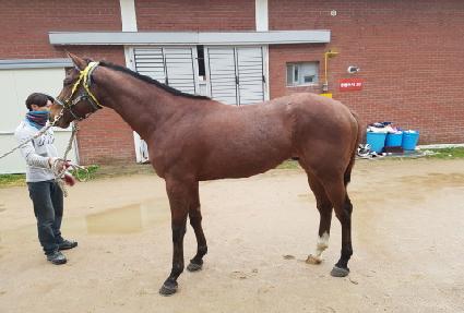 ���۾׼� ����