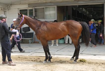 ����ڵ����� ����