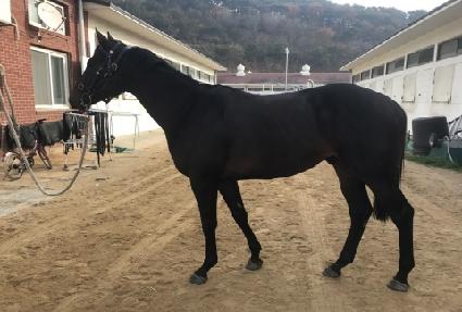 ��Ÿ���� ����