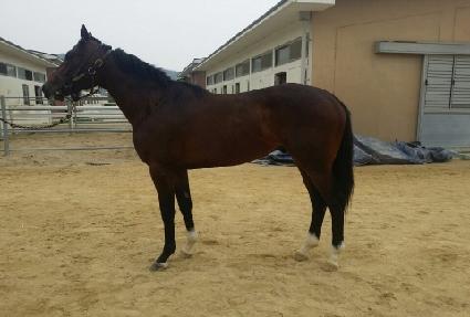 �Ƶ���Ÿ ����