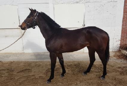 ����� ����