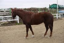 ���Ҹ޸� (SEONGBUL MEMORY) ����