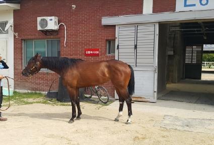 �ؼ����ǵ� ����