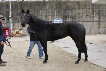 ��������� ����