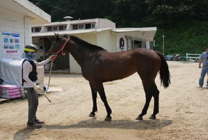 �򸶽��� ����