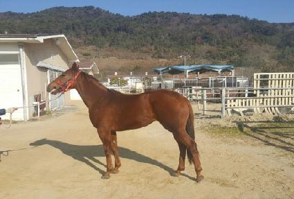 �������� ����