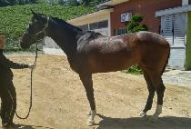 ����Ʈ (NEW PORT) ����