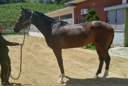 ����Ʈ ����