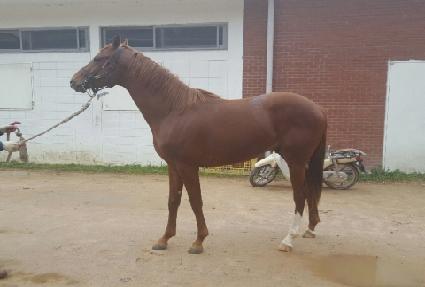 �Ѿ��Ǳ�� ����