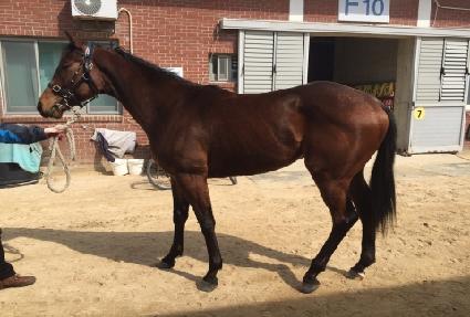 �Һ����� ����