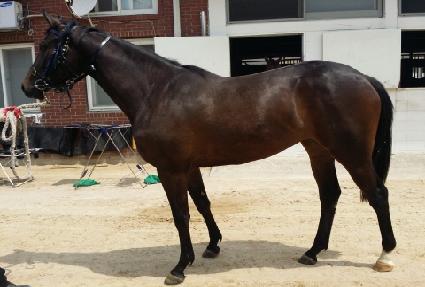 ��������� ����