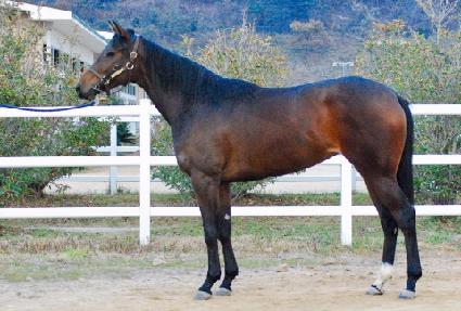 �޸����� ����