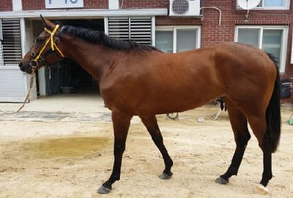 �����ǿ��� ����