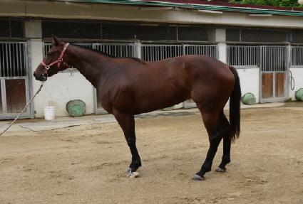 ��·ε� ����