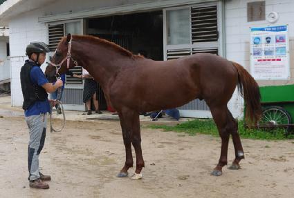 ������� ����