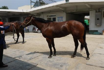 ����ܵ��� ����