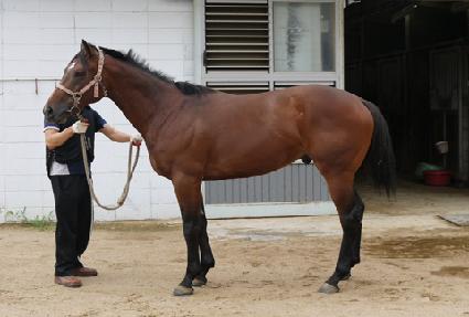 �����Ʈ�� ����