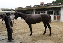 ��¿��̽� (RAON ACE) ����