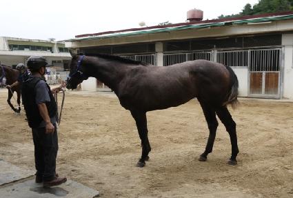 ��¿��̽� ����