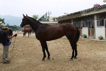 ��µ��潺 (RAON DEFENCE) ����