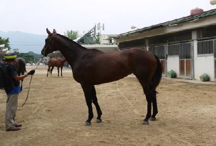 ��µ��潺 ����